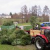 Weihnachtsbaumsammelaktion 2019