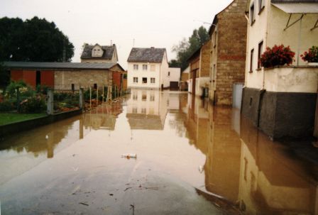 Hochwasser 1981